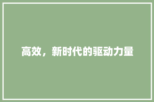 高效，新时代的驱动力量