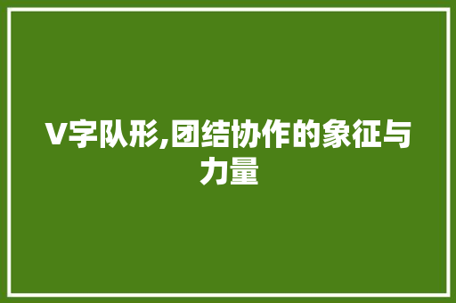 V字队形,团结协作的象征与力量