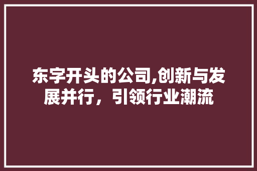 东字开头的公司,创新与发展并行，引领行业潮流