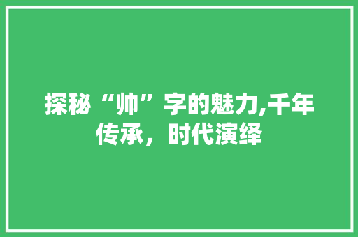探秘“帅”字的魅力,千年传承，时代演绎 财务报告范文