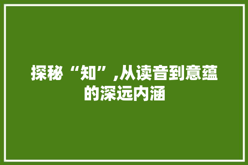 探秘“知”,从读音到意蕴的深远内涵 项目管理范文
