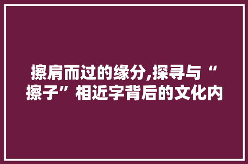 擦肩而过的缘分,探寻与“擦子”相近字背后的文化内涵