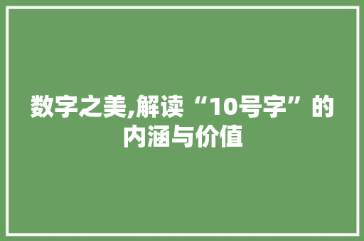 数字之美,解读“10号字”的内涵与价值 演讲稿范文