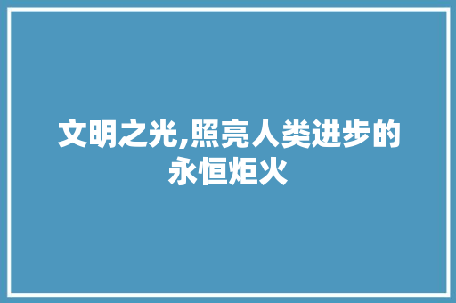 文明之光,照亮人类进步的永恒炬火