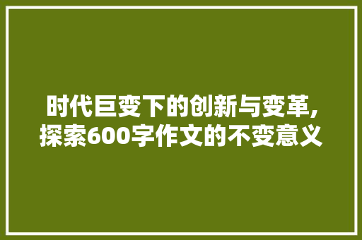 时代巨变下的创新与变革,探索600字作文的不变意义 项目管理范文