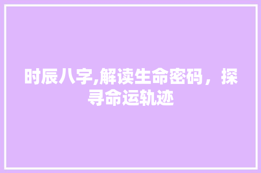 时辰八字,解读生命密码，探寻命运轨迹 职场应用