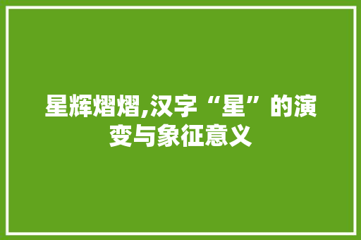星辉熠熠,汉字“星”的演变与象征意义 项目管理范文