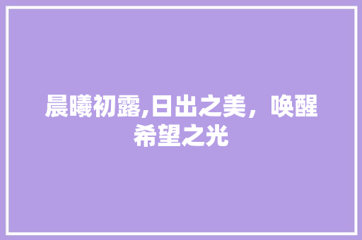 晨曦初露,日出之美，唤醒希望之光