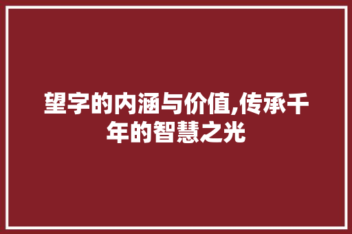 望字的内涵与价值,传承千年的智慧之光