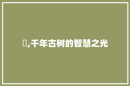 梲,千年古树的智慧之光