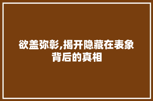 欲盖弥彰,揭开隐藏在表象背后的真相 词句相关
