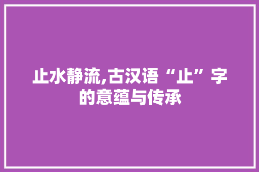 止水静流,古汉语“止”字的意蕴与传承 项目管理范文
