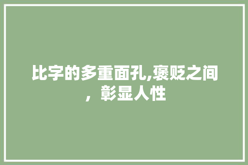 比字的多重面孔,褒贬之间，彰显人性
