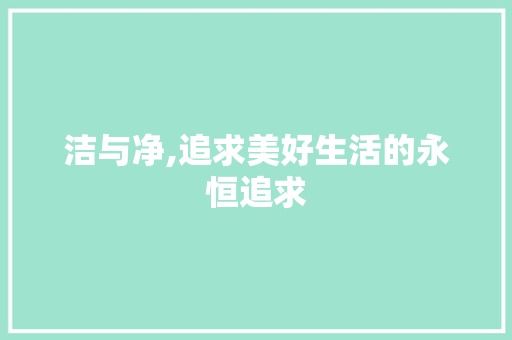 洁与净,追求美好生活的永恒追求