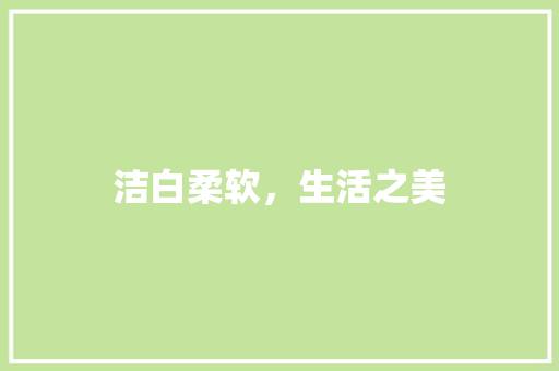 洁白柔软，生活之美