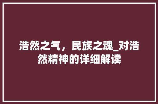 浩然之气，民族之魂_对浩然精神的详细解读
