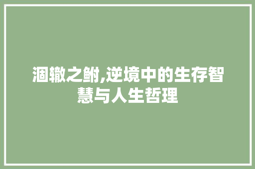 涸辙之鲋,逆境中的生存智慧与人生哲理