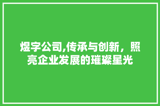 煜字公司,传承与创新，照亮企业发展的璀璨星光
