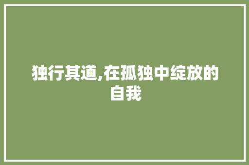 独行其道,在孤独中绽放的自我