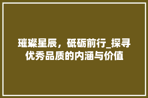璀璨星辰，砥砺前行_探寻优秀品质的内涵与价值