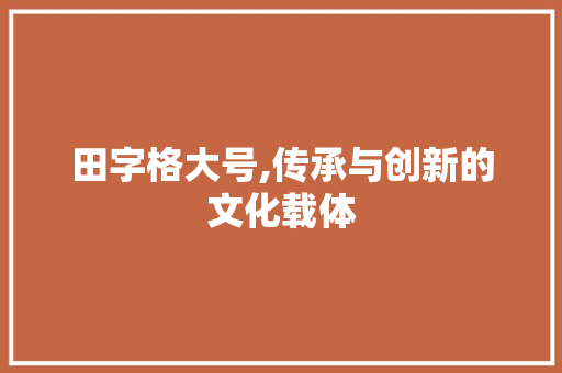 田字格大号,传承与创新的文化载体 项目管理范文
