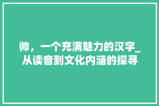 帅，一个充满魅力的汉字_从读音到文化内涵的探寻