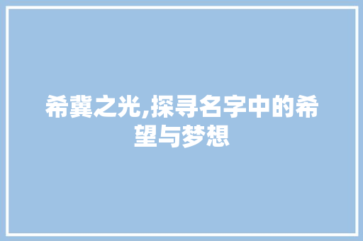 希冀之光,探寻名字中的希望与梦想