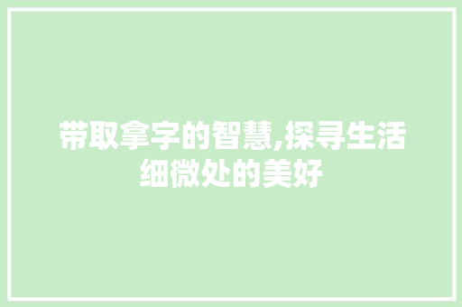 带取拿字的智慧,探寻生活细微处的美好