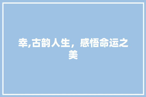 幸,古韵人生，感悟命运之美 项目管理范文
