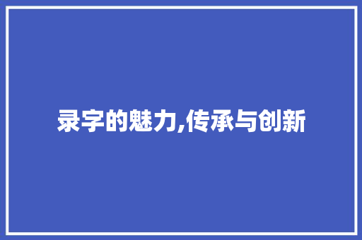 录字的魅力,传承与创新