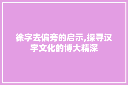 徐字去偏旁的启示,探寻汉字文化的博大精深