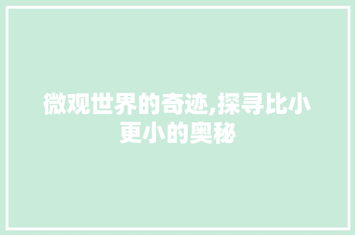 微观世界的奇迹,探寻比小更小的奥秘 财务报告范文