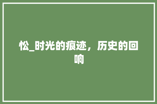 忪_时光的痕迹，历史的回响