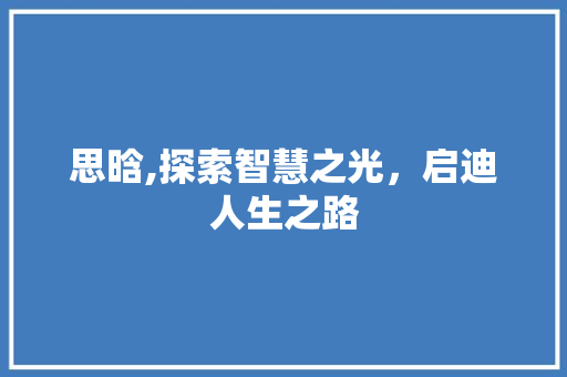 思晗,探索智慧之光，启迪人生之路