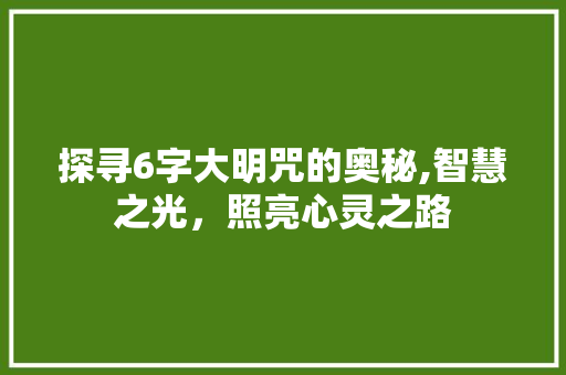 探寻6字大明咒的奥秘,智慧之光，照亮心灵之路