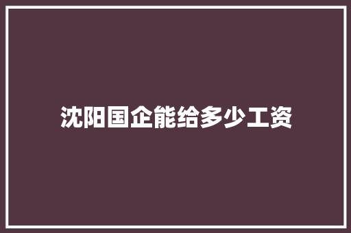 沈阳国企能给多少工资