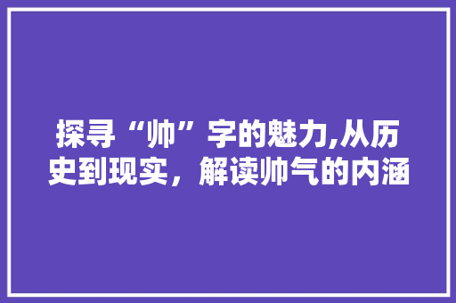 探寻“帅”字的魅力,从历史到现实，解读帅气的内涵