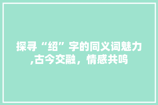 探寻“绍”字的同义词魅力,古今交融，情感共鸣 职场应用