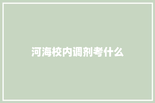 河海校内调剂考什么