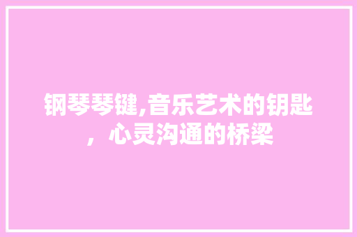钢琴琴键,音乐艺术的钥匙，心灵沟通的桥梁 合同协议范文