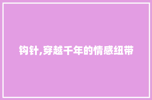 钩针,穿越千年的情感纽带 合同协议范文