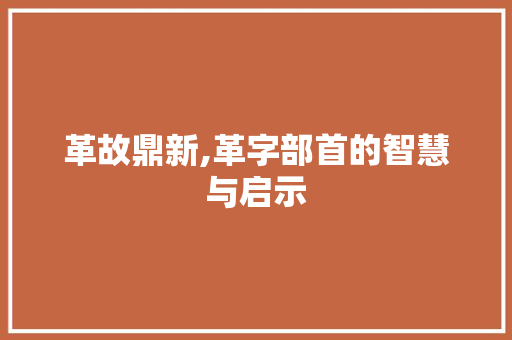 革故鼎新,革字部首的智慧与启示