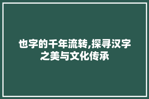 也字的千年流转,探寻汉字之美与文化传承