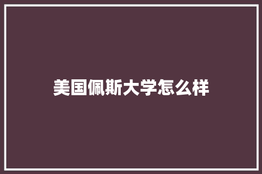 美国佩斯大学怎么样