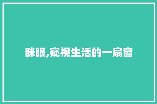 眯眼,窥视生活的一扇窗