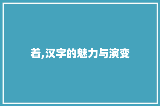 着,汉字的魅力与演变 财务报告范文