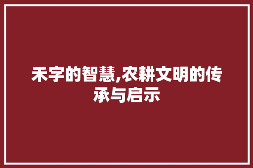 禾字的智慧,农耕文明的传承与启示
