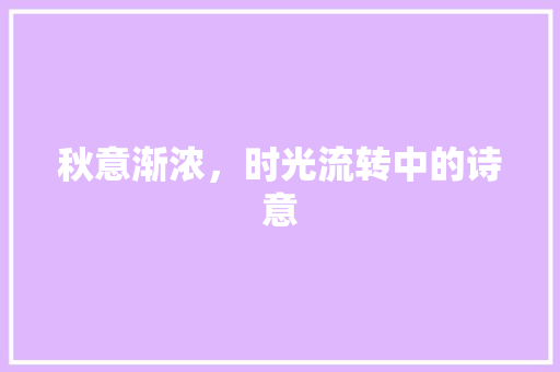 秋意渐浓，时光流转中的诗意