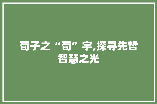 荀子之“荀”字,探寻先哲智慧之光