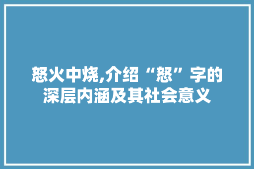 怒火中烧,介绍“怒”字的深层内涵及其社会意义